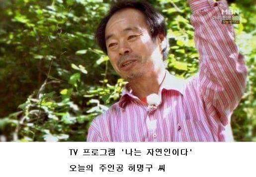 나는 자연인이다 레전드 | 인스티즈