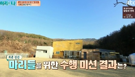 [마리와나] 뚱보냥 호동이 다이어트 시키기 (feat.먼지) | 인스티즈