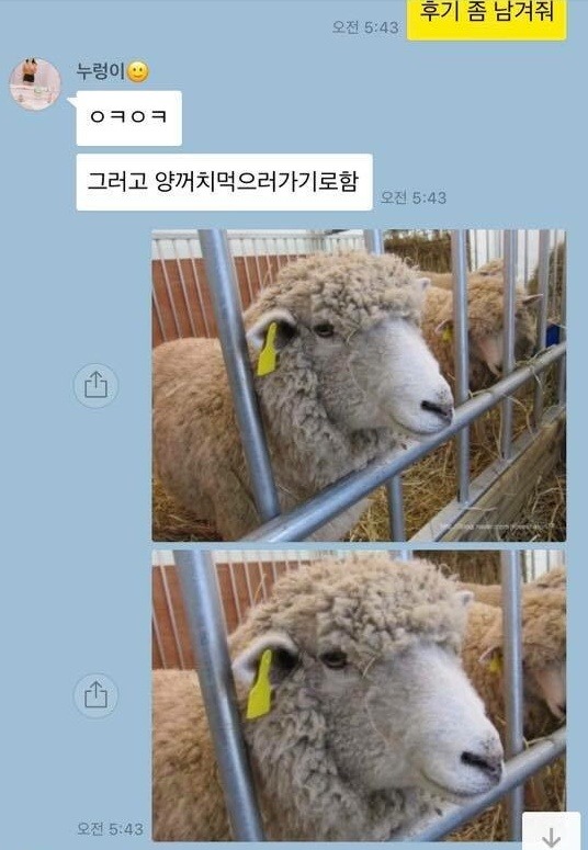 이게 진정한 친구지.jpg | 인스티즈