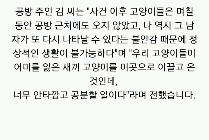 분노주의)웃는 얼굴로 새끼 고양이 내던지고 도망간 미친넘 | 인스티즈