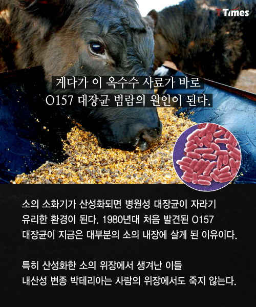형제축산 이미지