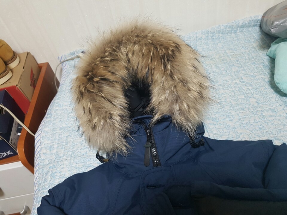 뉴시애틀 이미지