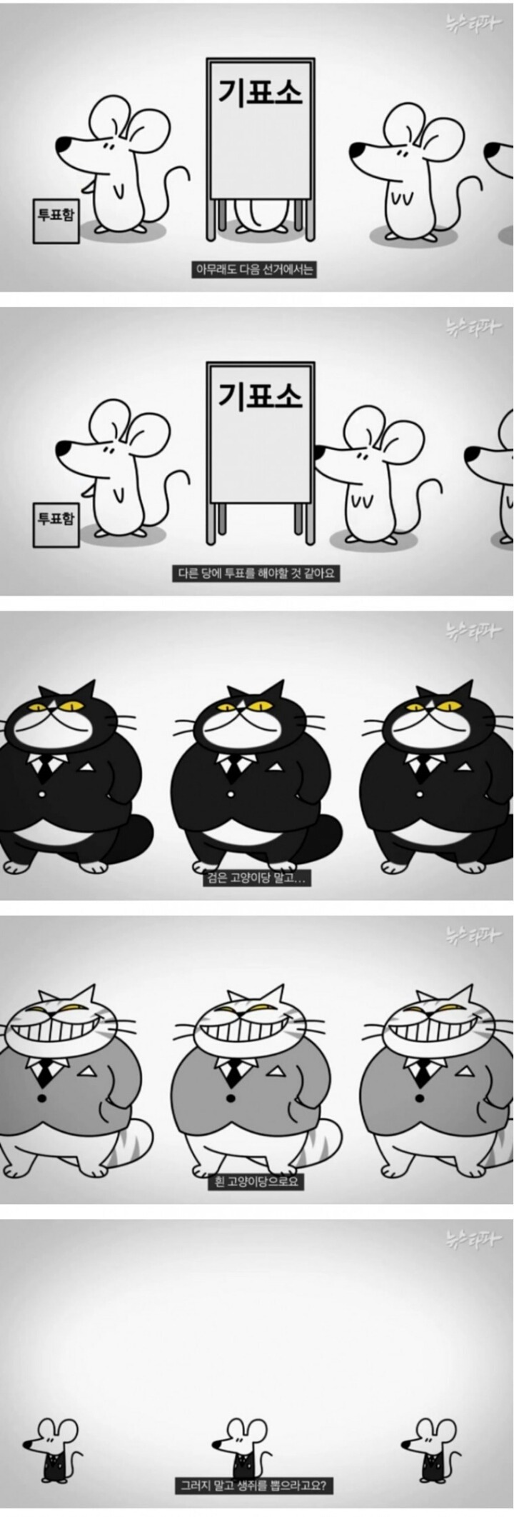 생쥐와 고양이.jpg | 인스티즈