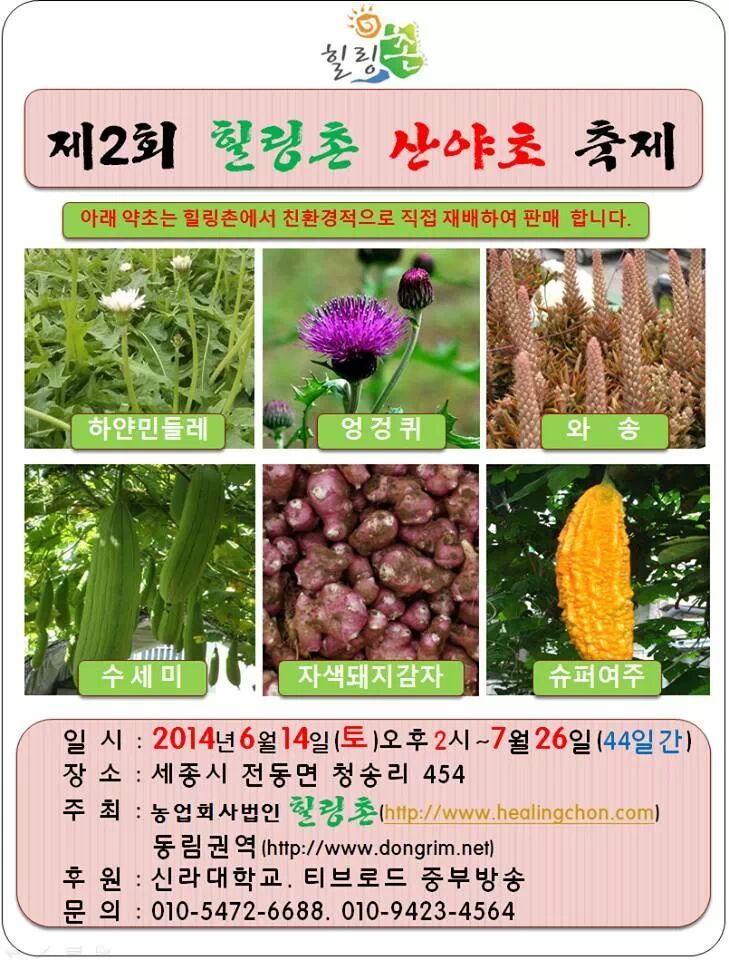 토종산야초 이미지