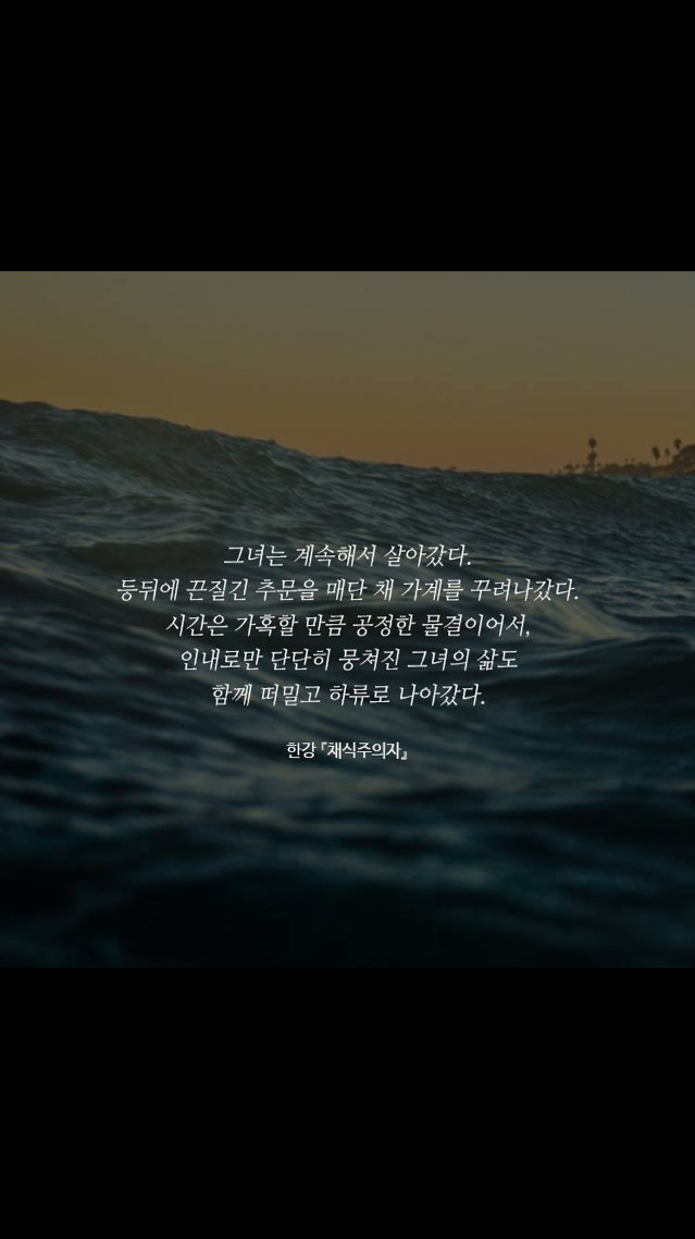 한강 [채식주의자] 속 문장들 | 인스티즈