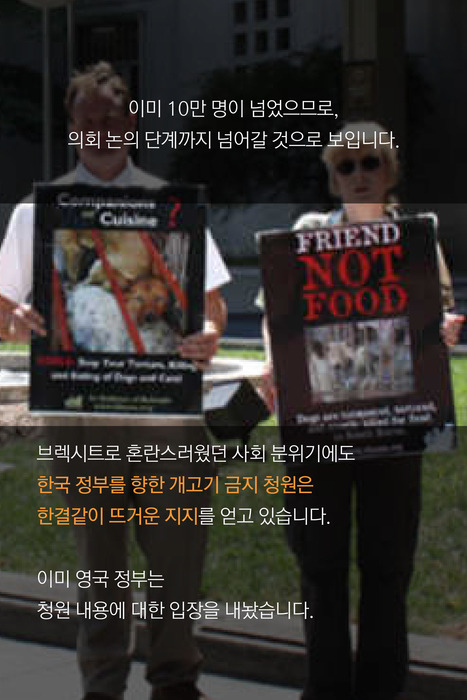 개고기 반대하는 신사의 나라 | 인스티즈