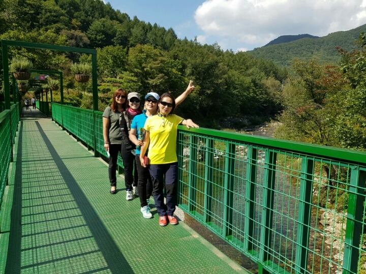 봉평메밀나라 이미지