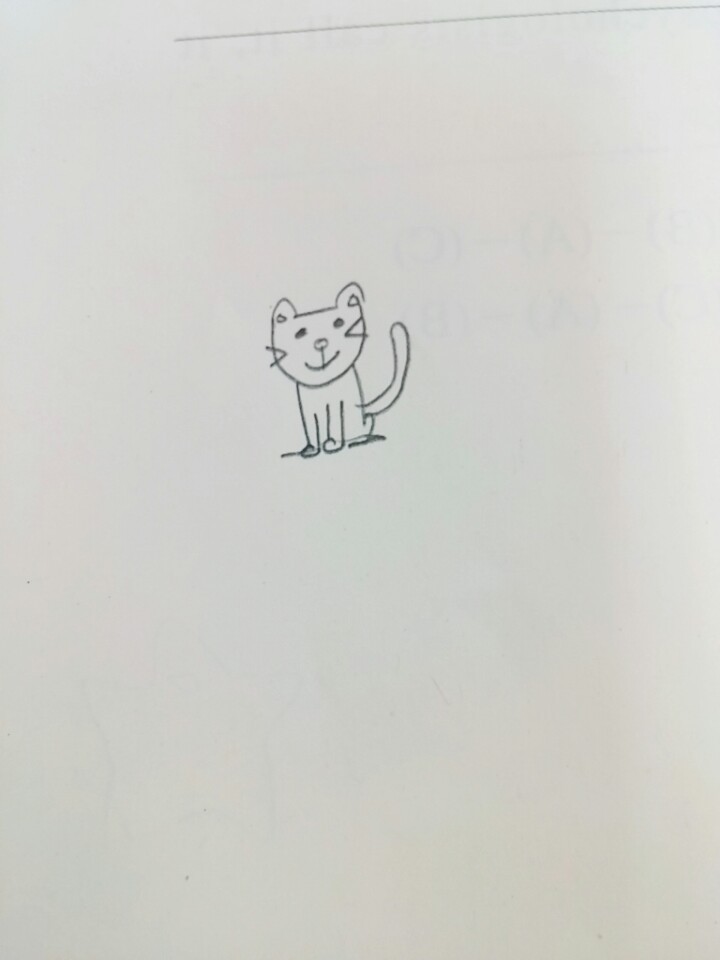 고양이와 멍멍이의 콜라보레이션 | 인스티즈
