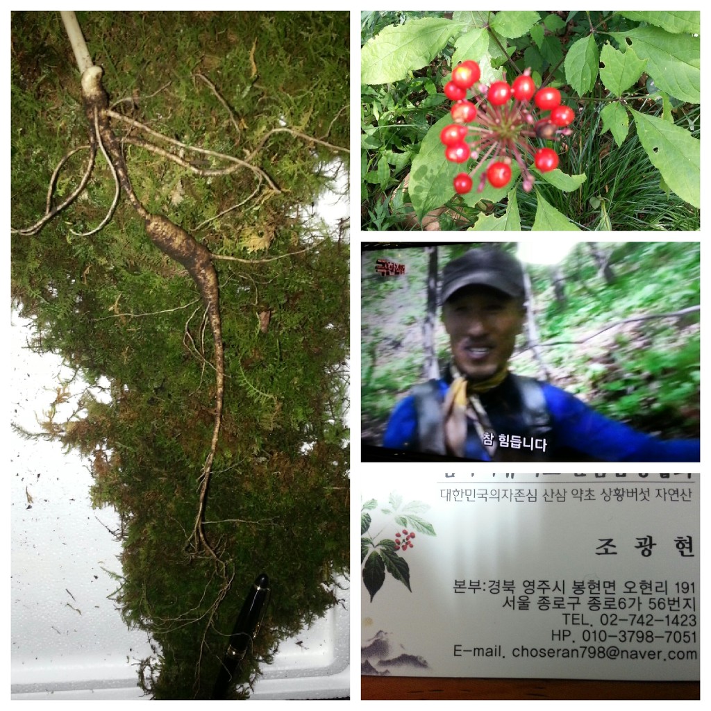 산약초이야기 이미지
