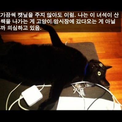 마약의 위험성 | 인스티즈