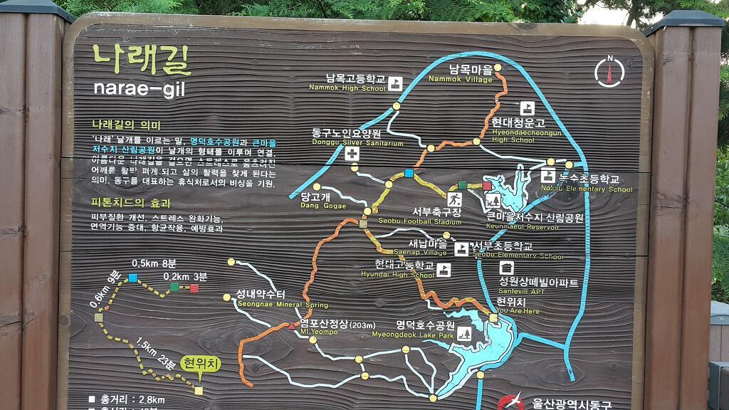 나래체육관 이미지