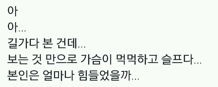 보는 것 만으로 가슴이 먹먹하고 슬프다...twt | 인스티즈