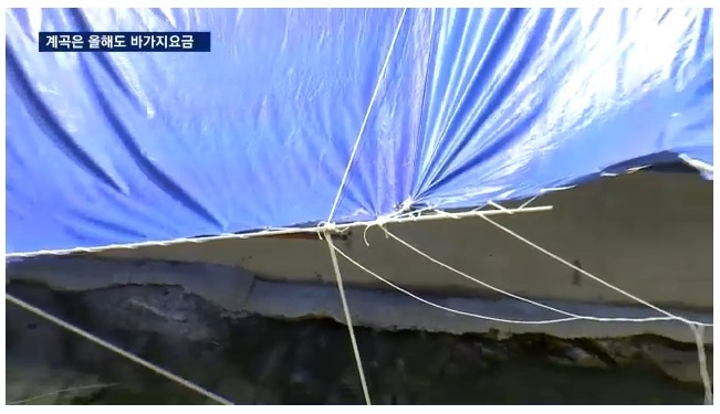 해외여행 늘어나는 이유 | 인스티즈