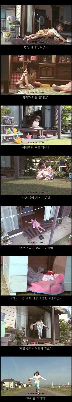 [눈물주의슬픔주의] 강아지의 일생 | 인스티즈