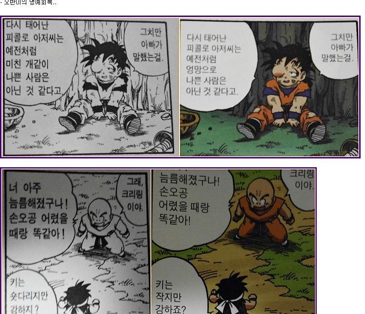 드래곤볼 매니아 중에서 신으로 불리우는 한국인 | 인스티즈