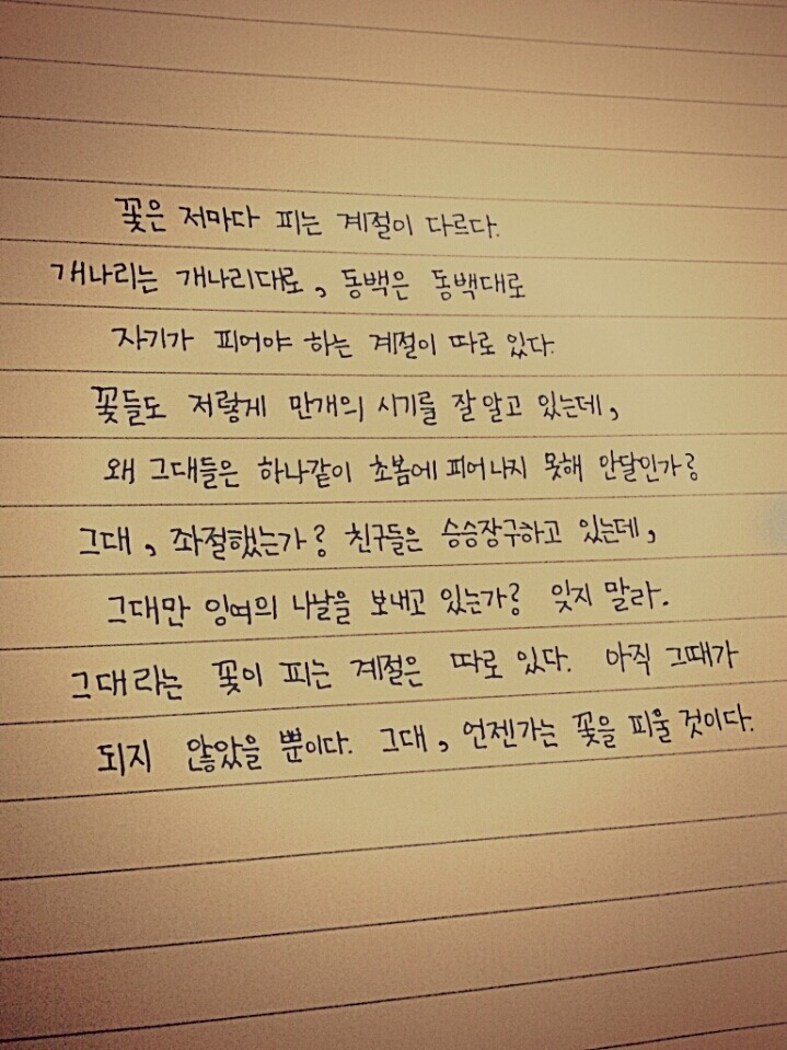 힘들 때 보면 위로가 되는(혹은 공감되는) 글귀들.jpg | 인스티즈