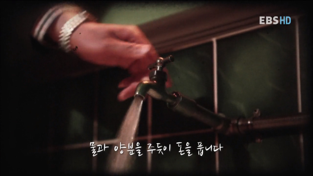자본주의 속 우리의 현실 상황... 공감되서 소름 돋네요.. | 인스티즈