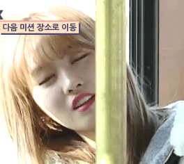 트와이스 모모가 잠드는 과정 | 인스티즈