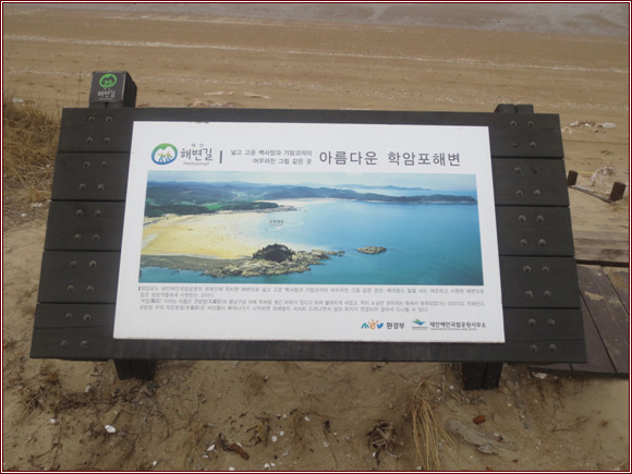 바다바라길 이미지