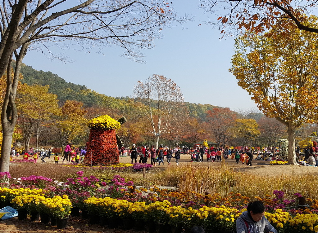 대구수목원 이미지