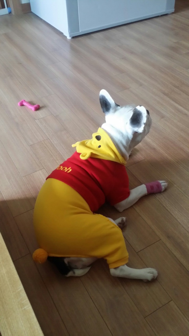봉자 이미지