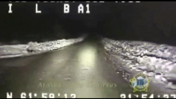 주인을 구하기 위한 개의 행동.gif | 인스티즈