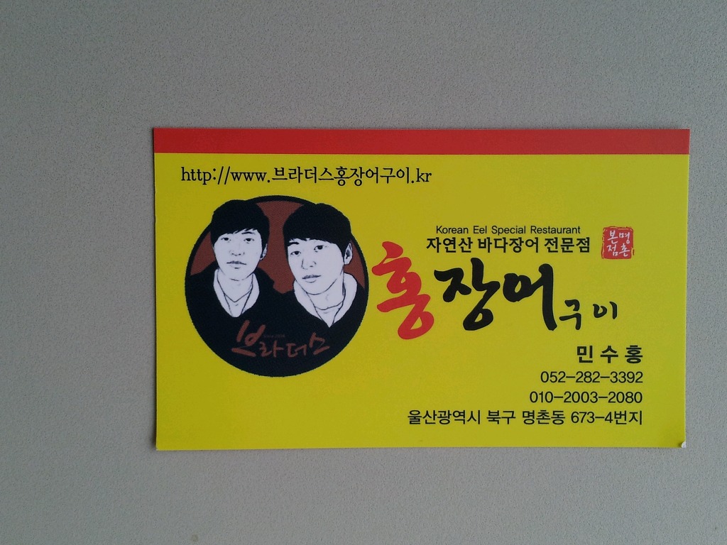 홍장어 이미지
