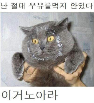 정도마트 이미지
