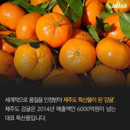 민족반역자의 아들로 태어나 대한민국을 살찌운 남자 | 인스티즈