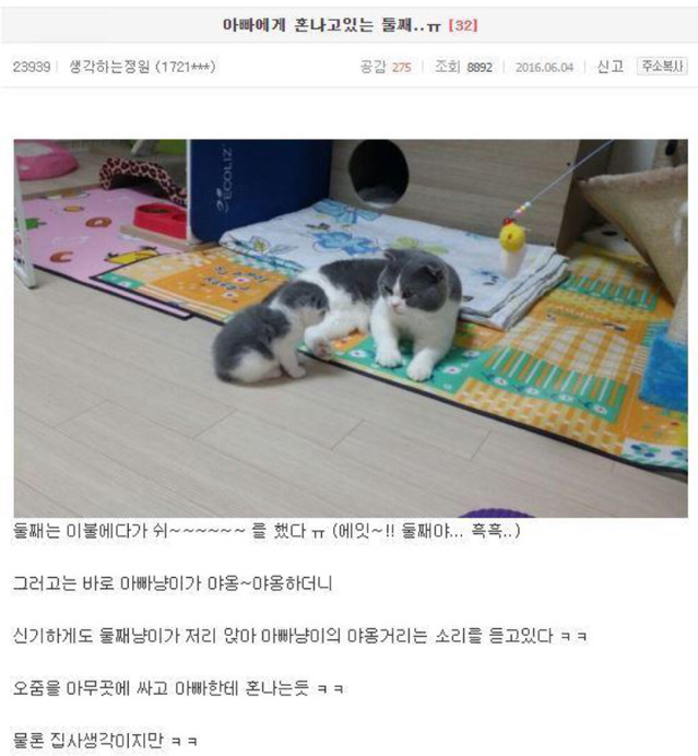아빠에게 혼나고 있는 둘째 | 인스티즈