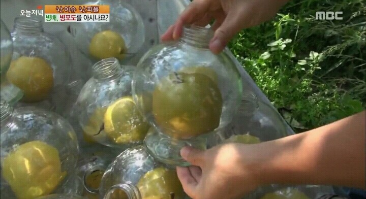 신기한 병배.jpg | 인스티즈