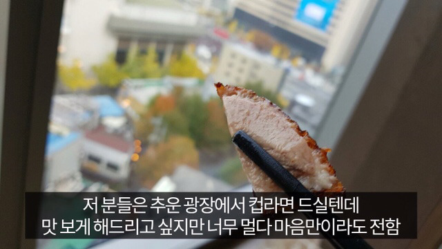 유머저장소 광화문 갔다온글 | 인스티즈
