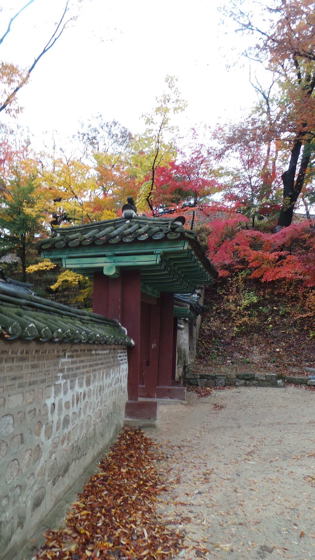 비-원 이미지