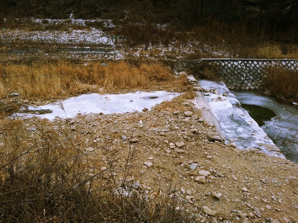 대룡중학교 이미지