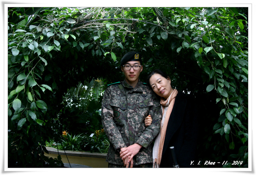 딱일병 이미지