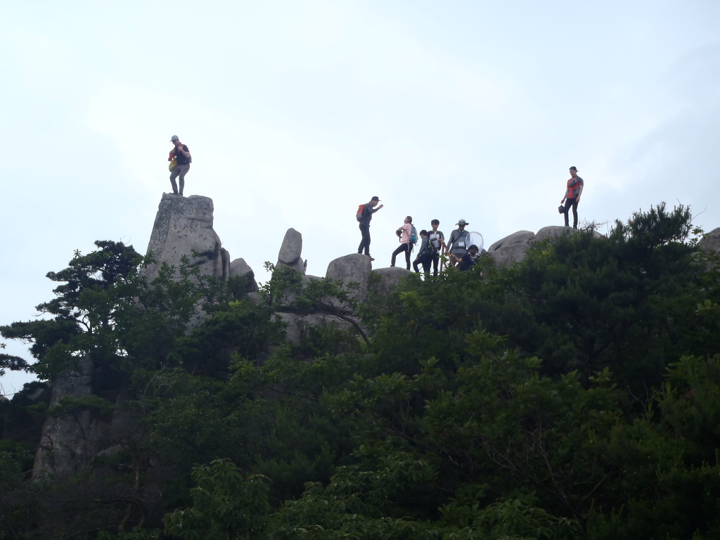 용봉초등학교 이미지