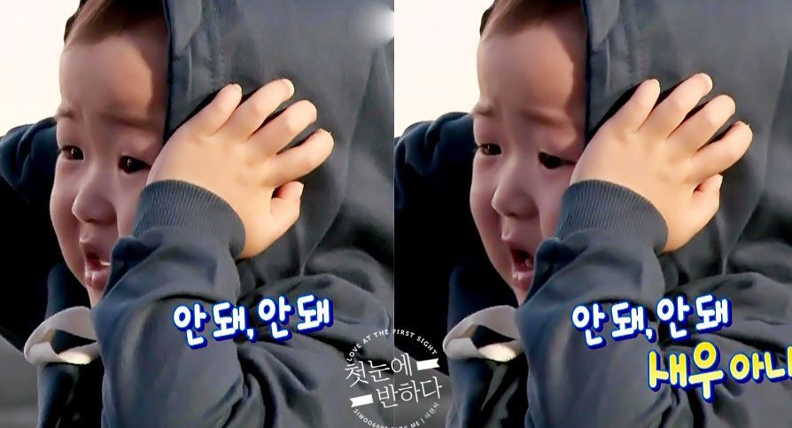 [삼둥이] 핵귀여운 쫄보 밍구기ㅋㅋㅋ | 인스티즈