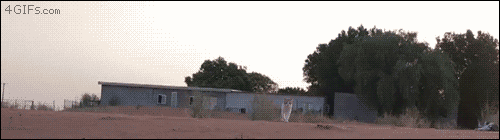 냥통사고.gif | 인스티즈
