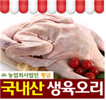 황금닭 이미지