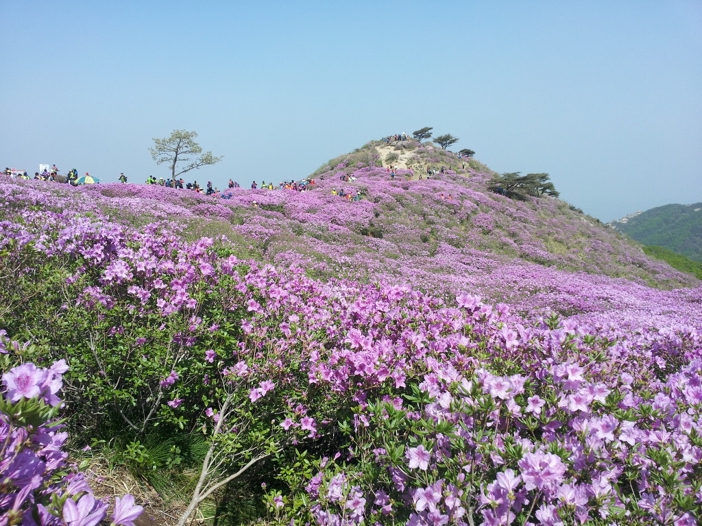 사계절 이미지