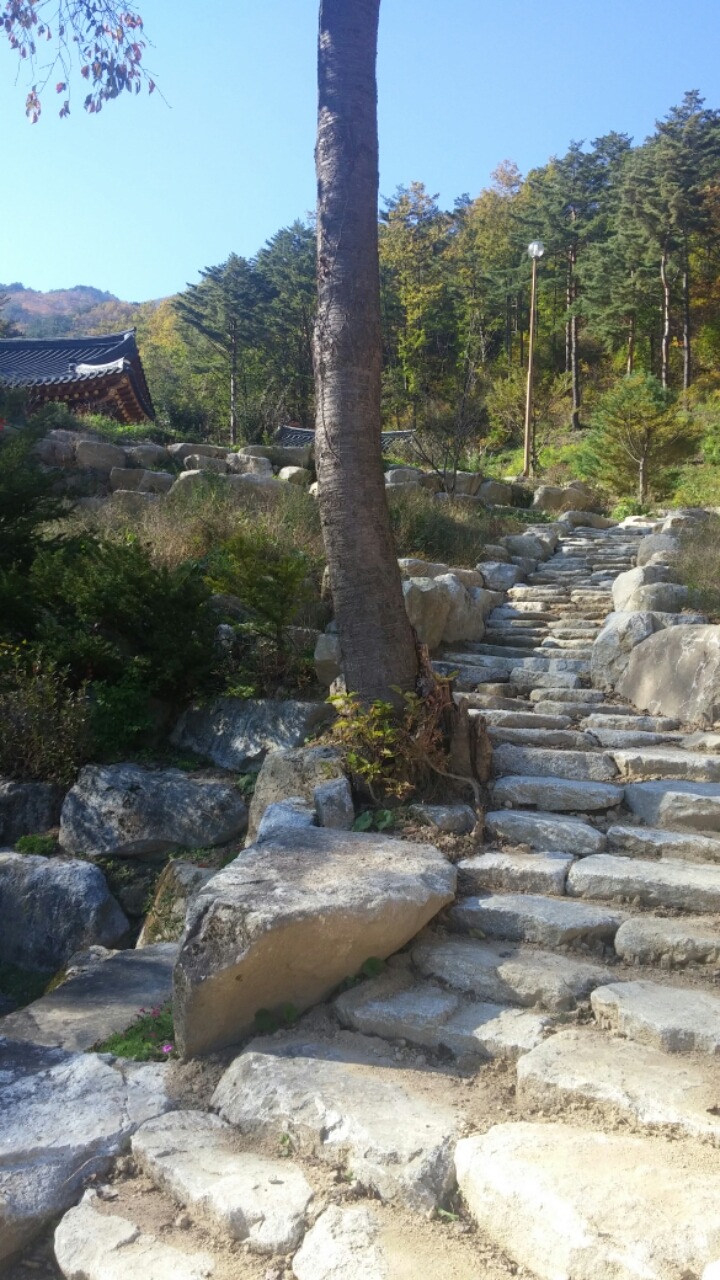성원사 이미지