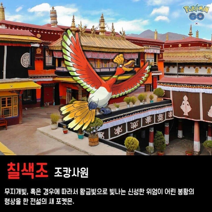 포켓몬go 전설의 포켓몬 | 인스티즈