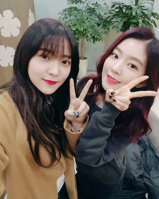 레드벨벳 브이린.jpgif | 인스티즈