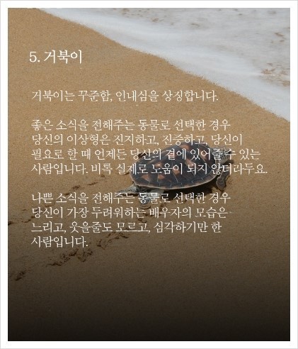 동물이 건네주는 편지로 알아보는 심리 테스트 | 인스티즈