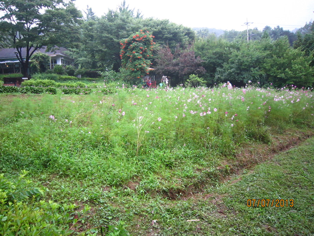 한우마당 이미지