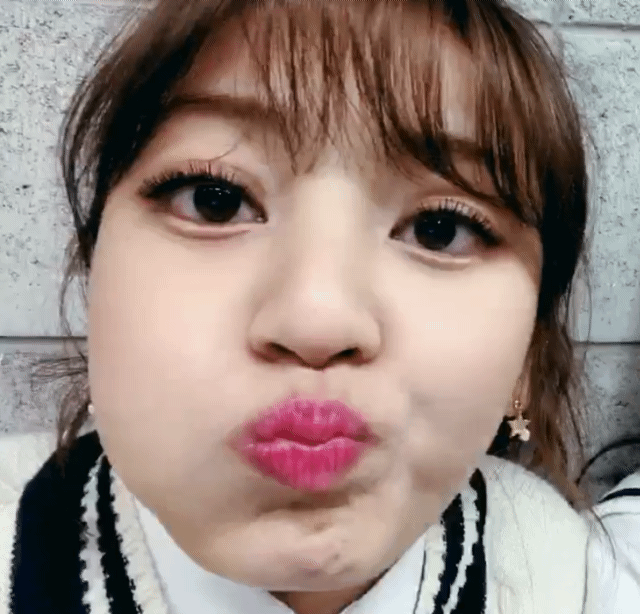 트와이스 푸린갓 지효 | 인스티즈
