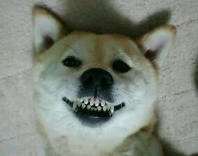 굿모닝 이미지