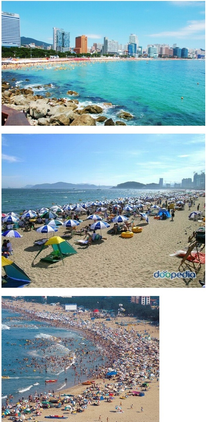 여름피서지로 바다vs계곡 | 인스티즈