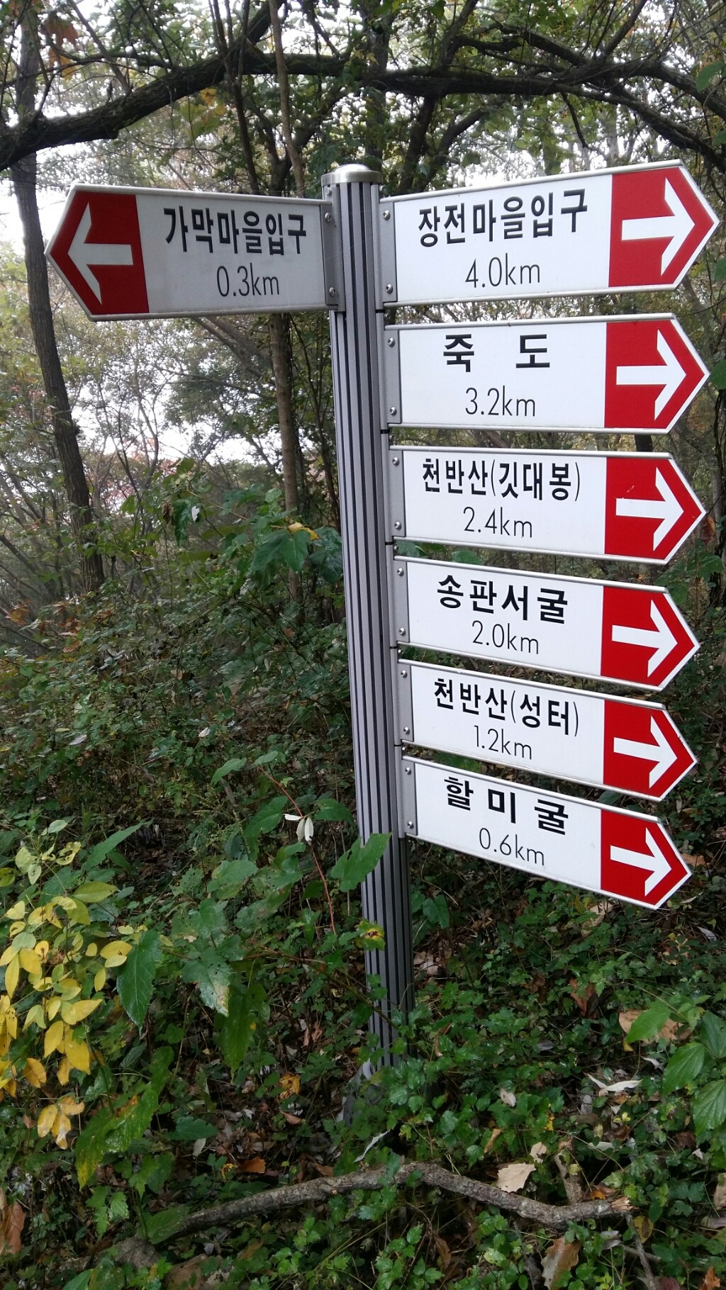 장수힐빙 이미지