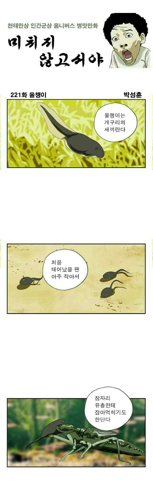 올챙이 [선거만화] | 인스티즈